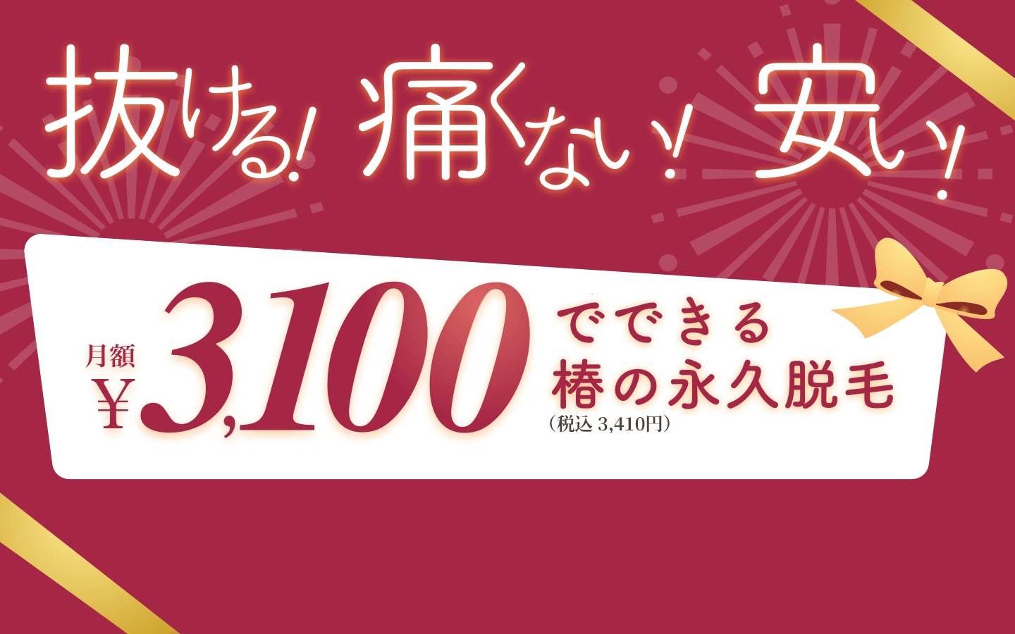抜ける！痛くない！安い！月額3,100円でできる椿の永久脱毛