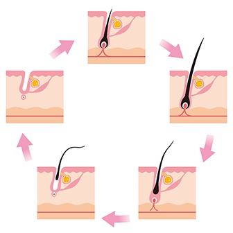 医療脱毛の効果はいつからわかる？経過と脱毛完了までの目安回数と期間