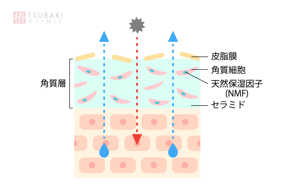 ケミカルピーリング直後の肌ケア