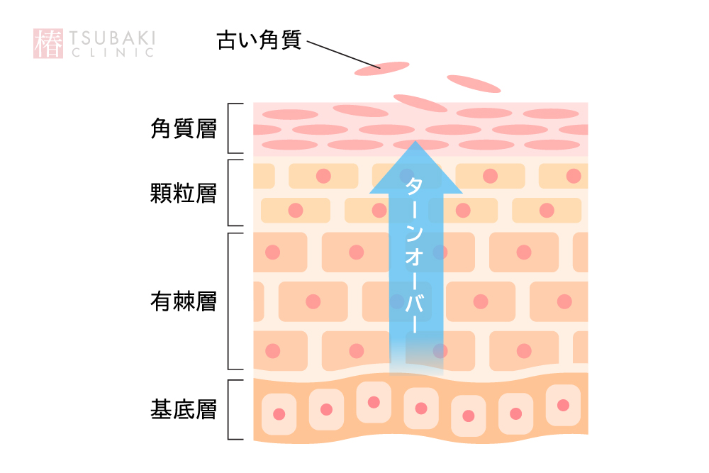 ケミカルピーリング直後の肌状態