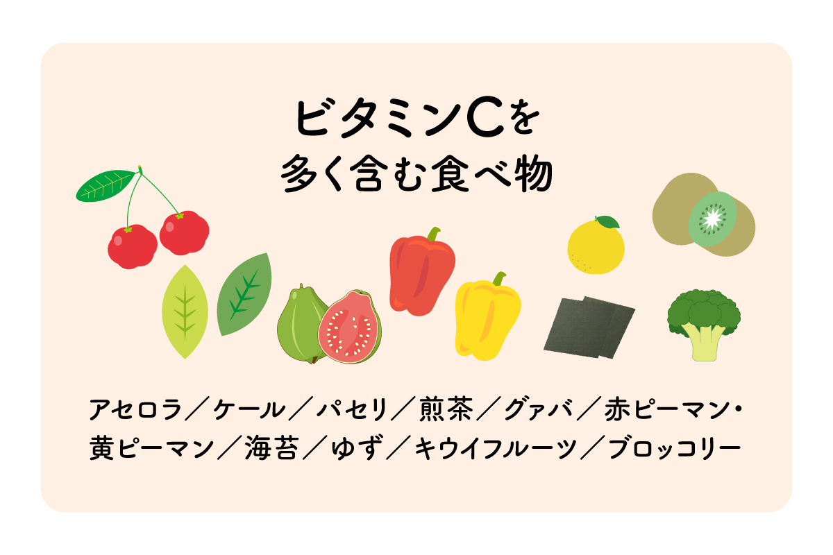 ビタミンCが豊富に含まれている食材の一例をイラストにした画像。アセロラ・ケール・パセリ・グアバ・赤ピーマン・ゆずなどが描かれている。