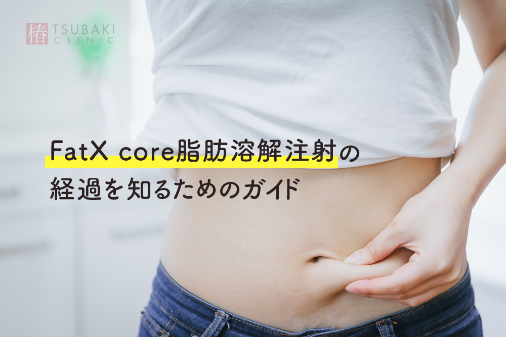 FatX core脂肪溶解注射の経過を知るためのガイド