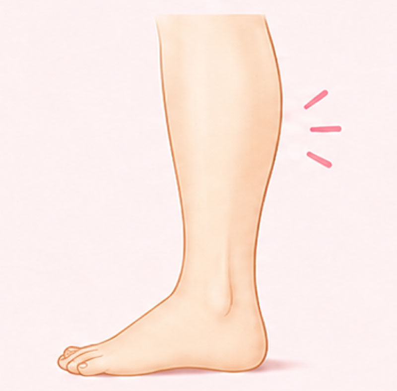 筋肉タイプ張りを感じる