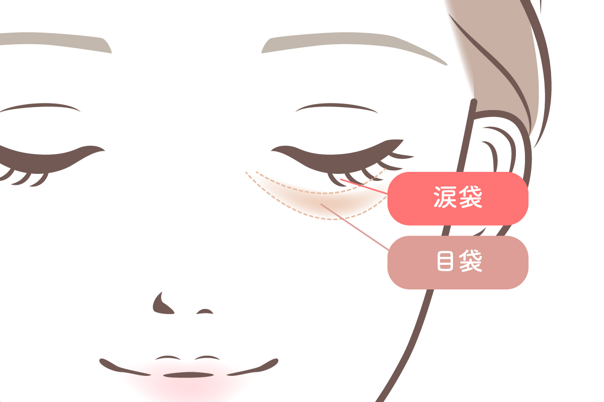 女性の目元をイラストで表し、目の下にある「涙袋」と「目袋」の位置の違いを示しています。まつ毛のすぐ下にある涙袋と、その下にできやすい目袋を色分けして描き、目元の構造をやさしく理解できるようにしています。
