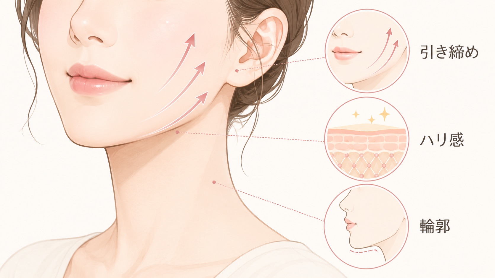 女性の口元から首元にかけた横顔のイラストに、フェイスラインへ上向きの矢印が描かれている。右側には「引き締め」「ハリ感」「輪郭」を示す3つの丸い図が並び、切らない美容医療で目指せる変化をわかりやすく表した挿絵。