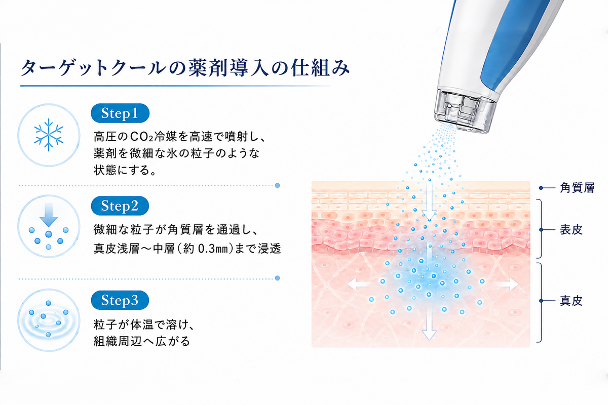 ターゲットクールで薬剤導入したときの肌内部での働きを表した肌断面のイラスト。